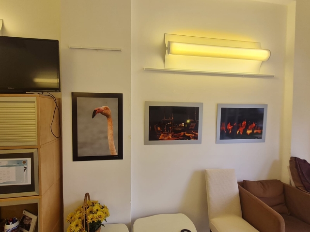 PHOTO-2024-02-29-17-21-19_1