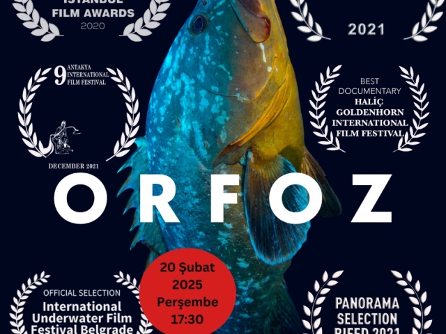 PHOTO-2025-02-17-16-32-27