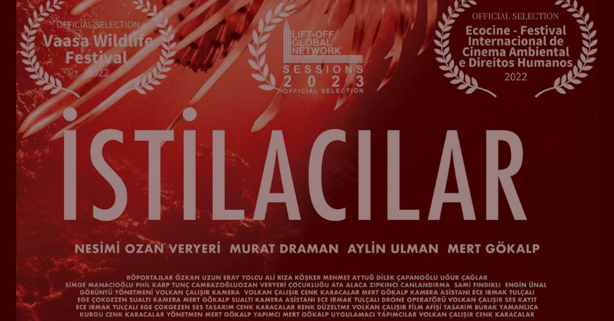 “İstilacılar” Mert Gökalp