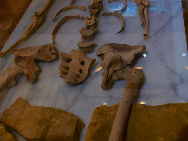 18451569_1869512973297750_8400888217138466433_o