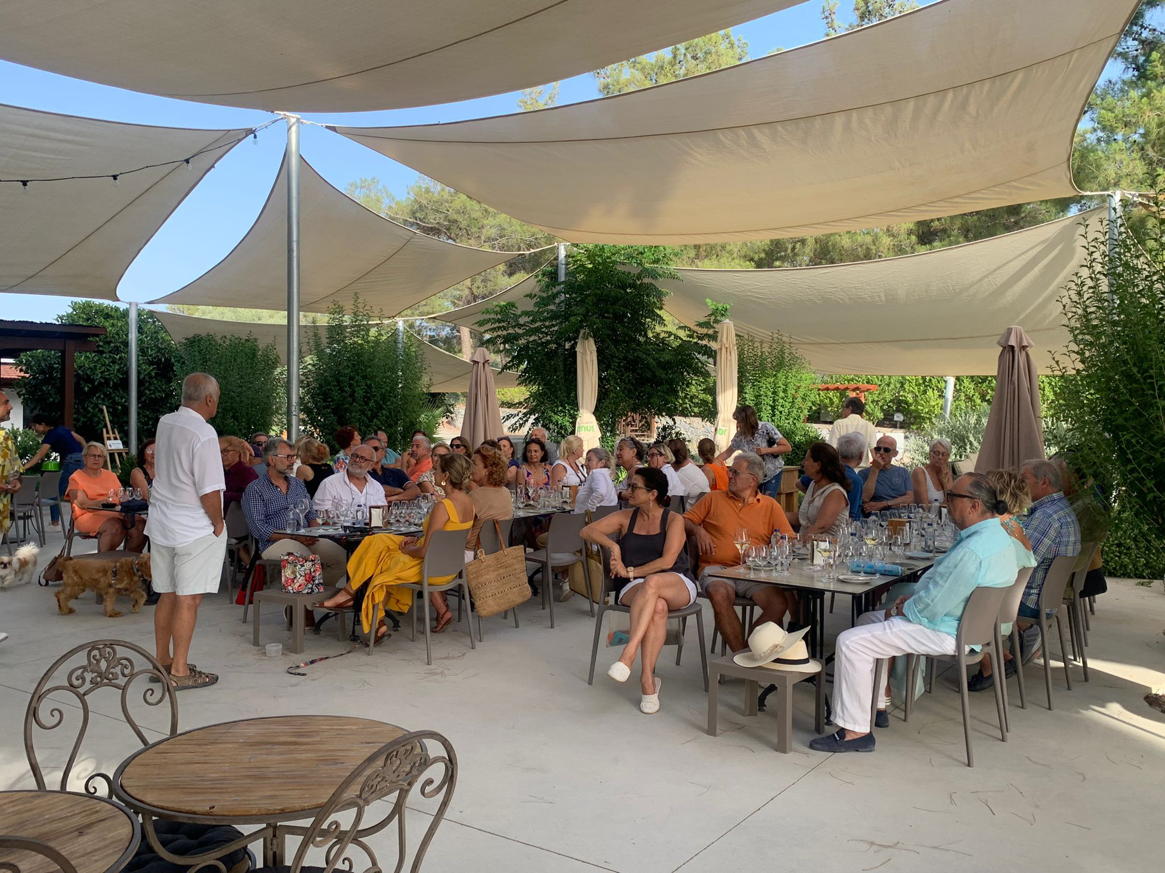 Mor Salkım Bağları Gezisi