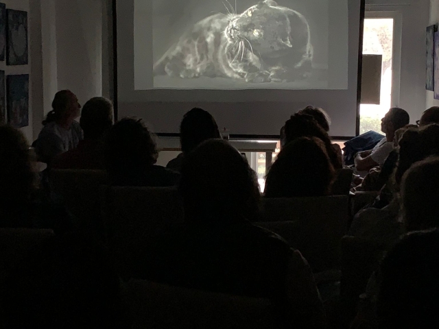 PHOTO-2024-10-20-22-02-38