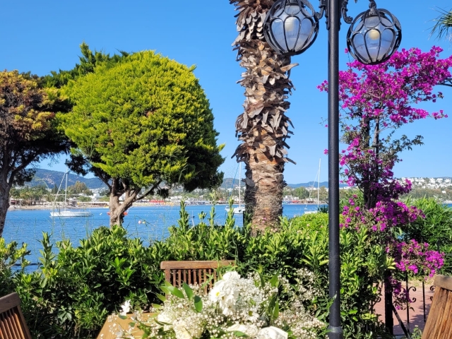 be568c33-7195-4611-a7ff-33007e61c6d7